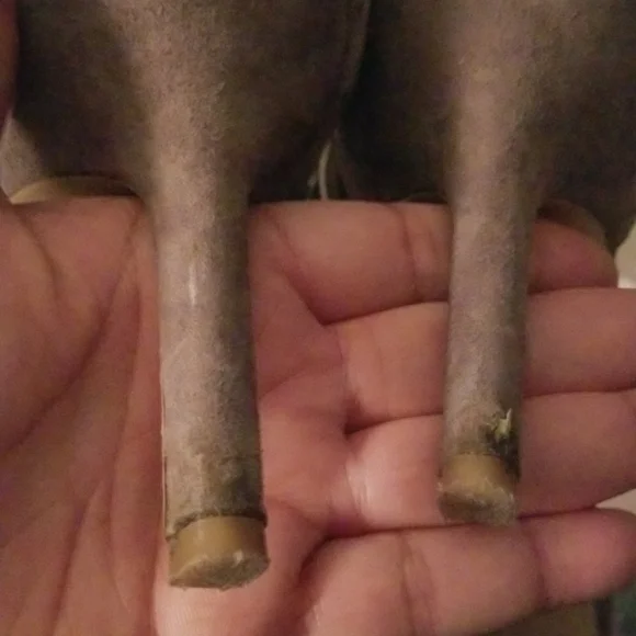 ☆☆Final Price☆☆ BCBGeneration Gray Suede Ankle Strap Heels Size 10M - Picture 5 of 10